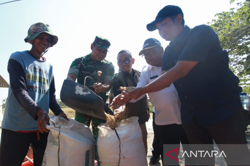 DKPP Indramayu targetkan produksi padi tembus 1,6 juta ton pada 2026