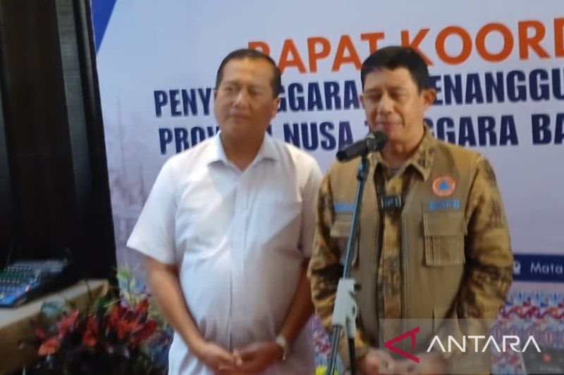 BNPB pastikan penanganan maksimal atas karhutla di Kalteng