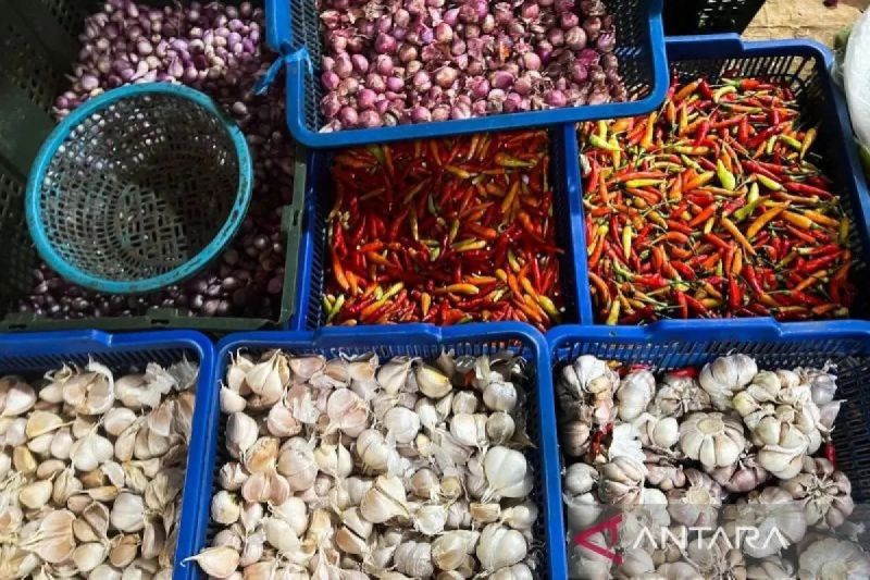 PIHPS: Harga cabai rawit Rp54.400/kg, telur ayam Rp29.600/kg
