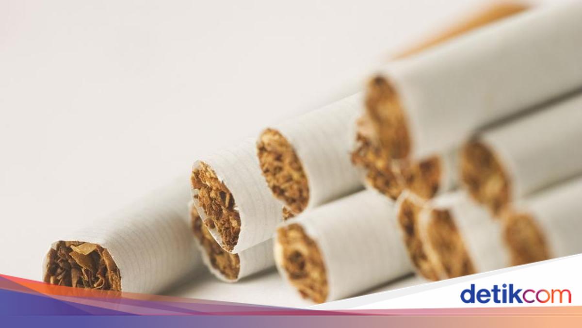 Aturan Tembakau Ini Dinilai Bisa Dorong Lonjakan Impor