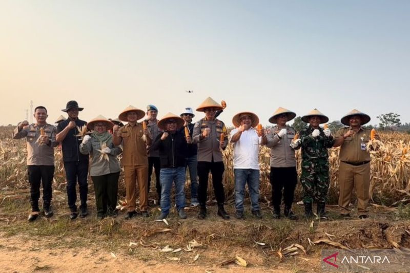 Polres Bekasi panen jagung dukung ketahanan pangan