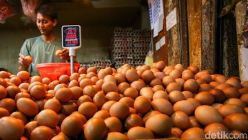 Harga Daging &amp; Telur Ayam Naik, Cabai Rawit Turun