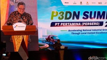 Airlangga Minta Pertamina Diversifikasi Sumber Energi, Ini Alasannya