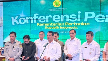 Mentan Jamin Stok Beras Aman Lewati El Nino, Segini Besarnya