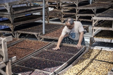 Target Ekspor Kopi Rp100 Triliun Terus Dikejar