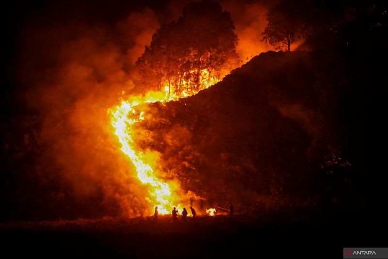 Kebakaran hutan di kawasan TNBTS capai 520 hektare