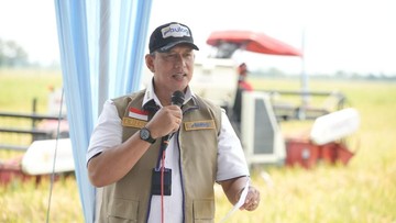 Janji Bulog Jaga Kualitas Beras Usai Dapat Margin Fee 7%