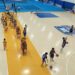 Jawa dan Bali masih dominasi pertumbuhan atlet bola basket nasional