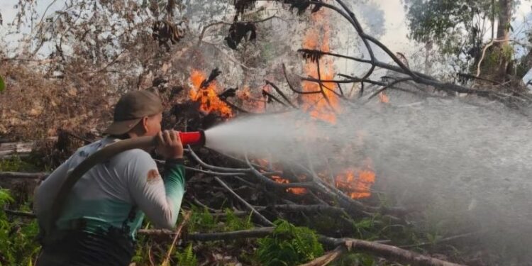 Hukum, dari tersangka karhutla hingga tambang ilegal di Bangka