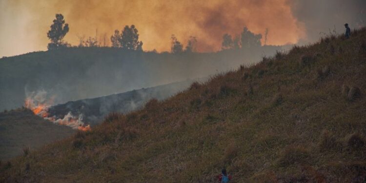 TNBTS tutup total aktivitas wisata Bromo guna percepat pemadaman