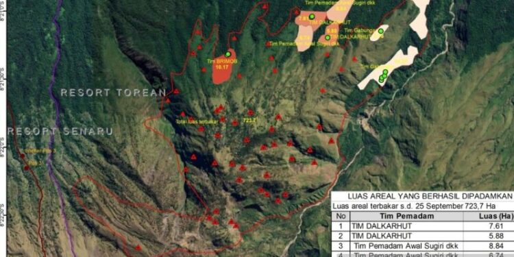 Kebakaran lahan di Bukit Setampol Rinjani meluas hingga 723,7 hektare