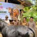 Program TJSL PLN UID Sulselrabar dorong kemandirian ekonomi di Sinjai