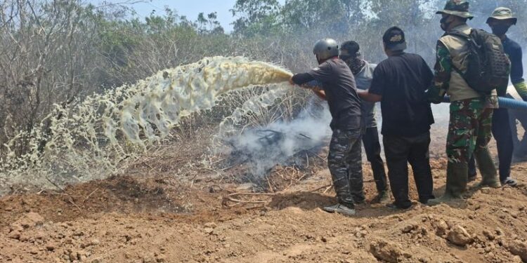 BNPB: Penanganan karhutla di TNWK Lampung terus diperkuat