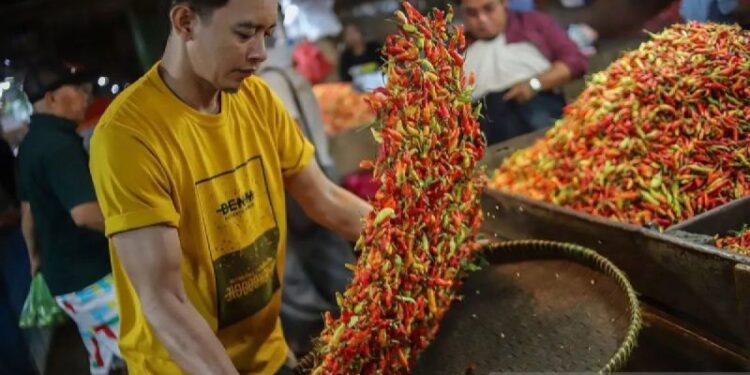 PIHPS catat harga cabai rawit Rp93.100/kg, telur ayam Rp29.900/kg