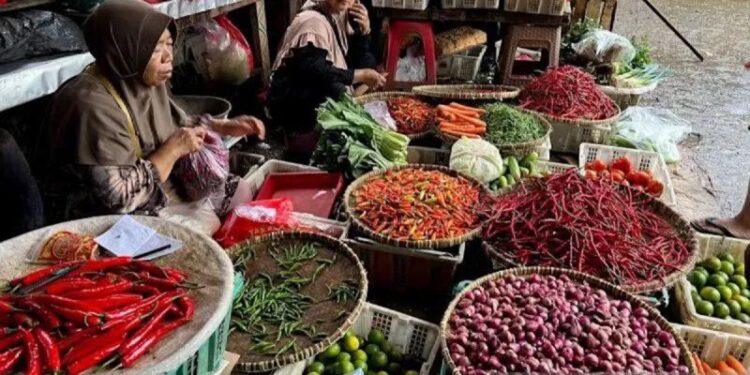 PIHPS catat harga cabai rawit Rp96.050/kg, telur ayam Rp29.900/kg