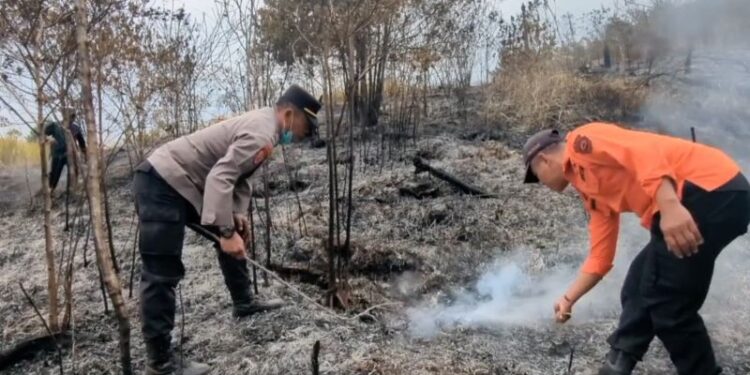 Kebakaran hutan di lereng Gunung Wilis capai 465 hektare