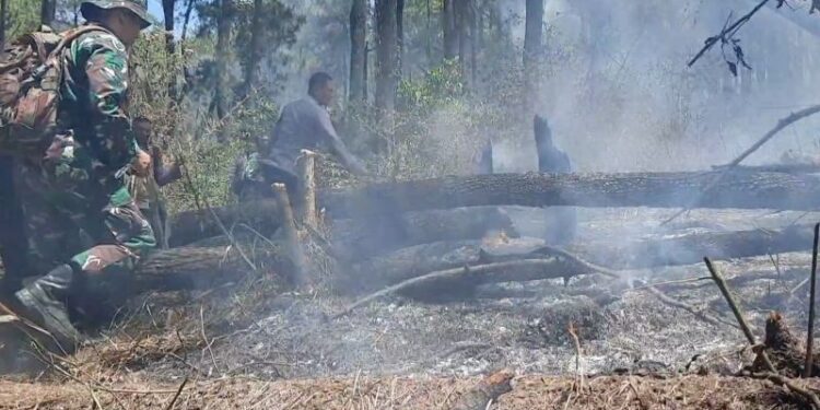 Petugas gabungan berupaya padamkan karhutla di lereng Lawu Magetan