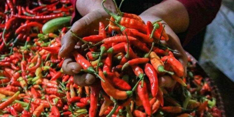 PIHPS catat harga cabai rawit Rp104.850/kg, telur ayam Rp30.100/kg