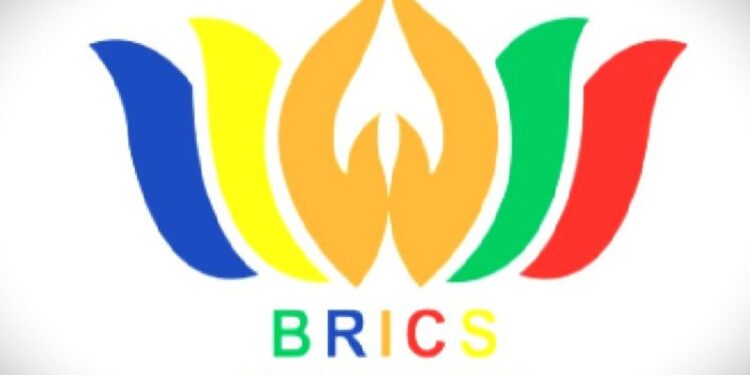 Menlu Afsel: BRICS yang diperluas tawarkan peluang perkuat konsensus