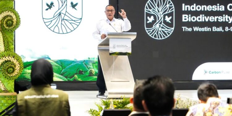 Menteri LH: Pengembangan pasar karbon harus berbasis aksi iklim nyata