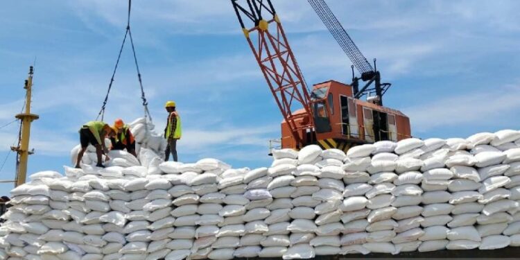Indef nilai tata kelola tepat perkuat manfaat bantuan pangan