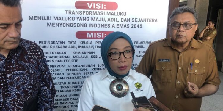 Kementerian ESDM perkuat NZMATES untuk energi terbarukan di Maluku