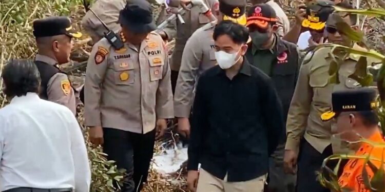 Wapres Gibran tinjau penanganan karhutla di Banjarbaru