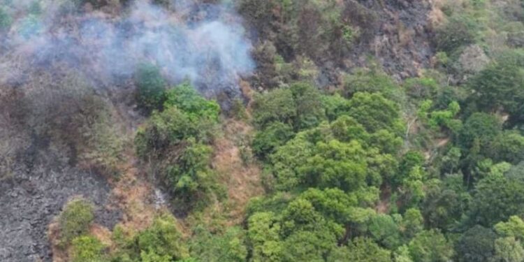 Kemenhut pastikan kendalikan kebakaran di TN Gunung Ciremai