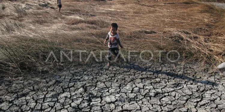 Ketika hujan datang terlambat
