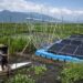 Cahaya Matahari &amp; Angin Jadi Sumber Energi di Lahan Pertanian