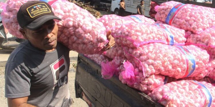 Menapak jalan swasembada bawang putih
