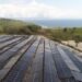 PLN Garap PLTS 60 MWp-BESS 200 MWh di Sulawesi Tengah Rp 3,3 T