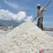 Dari Tambak ke Industri, Garam Bima Mengejar Nilai Tambah