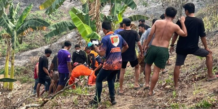 Seorang pria di Samarinda tewas terbakar terkepung api karhutla