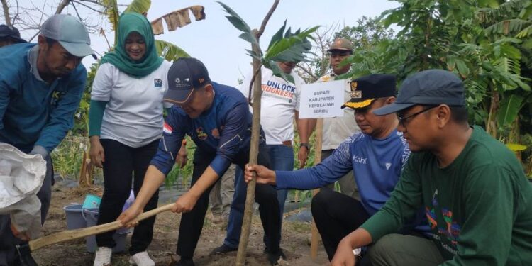 Pemkab tanam bibit pohon sukun dukung aksi jaga wilayah pesisir