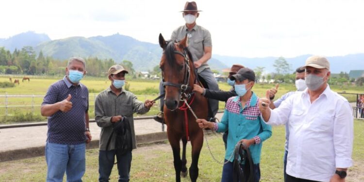 Mengenal asal usul kuda thoroughbred, ras murni untuk pacuan