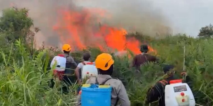 BPBD: Penanganan karhutla di Sulteng capai 90 persen