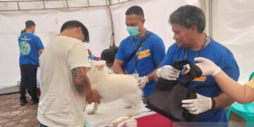 Disnakeswan Mimika siapkan  700 dosis vaksin rabies  gratis