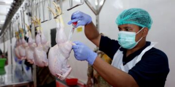 Menjaga halal dari kandang ke meja