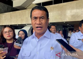 Mentan: Ekspor mocaf segera dilakukan seiring harga singkong naik