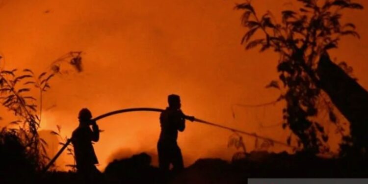 Pakar: Kepastian hukum dan pencegahan perlu didorong untuk atasi karhutla