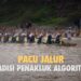 Pacu jalur, tradisi penakluk algoritma (bagian 2)