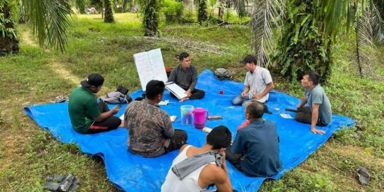 Musim Mas Rampungkan Program Lima Tahun untuk Petani Swadaya di Aceh, Perkuat Mata Pencaharian Petani Sawit