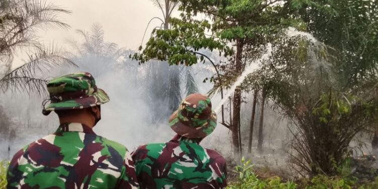 Personel TNI AU dikerahkan untuk tangani karhutla di Sumsel