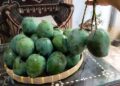 Mangga bukan cuma manis, ini 5 manfaatnya bagi kesehatan