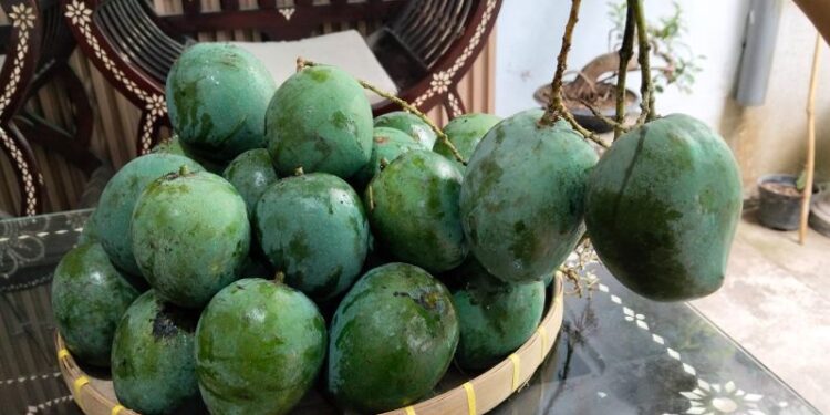 Mangga bukan cuma manis, ini 5 manfaatnya bagi kesehatan