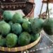 Mangga bukan cuma manis, ini 5 manfaatnya bagi kesehatan