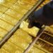Harga Emas Antam Akhirnya Naik, Tapi Cuma Rp 7.000