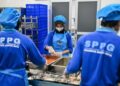 Pemda Bakal Lebih Sering Pelototi Pelaksanaan MBG