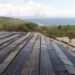 Pemerintah Targetkan PLTS 100 GW, 4 Sektor Ini Bisa Jadi Potensi Pasar
